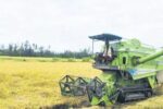 ಭತ್ತ ಕಟಾವು ಯಂತ್ರಕ್ಕೆ, ಬಾಡಿಗೆ ದರ ನಿಗದಿ ಇಷ್ಟು.!