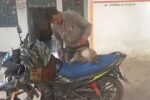 ಪಶು ಆಸ್ಪತ್ರೆಗೆ ತಾನಾಗೆ ಬಂದು ಚಿಕಿತ್ಸೆ ಪಡೆದ ಮಂಗ!