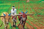 ರೈತರಿಗೆ ಮುಖ್ಯ ಮಾಹಿತಿ.! ದೇಸಿ ತಳಿಗಳ ಸಂರಕ್ಷಣೆ ಮತ್ತು ಉತ್ತೇಜನ ಕಾರ್ಯಕ್ರಮ
