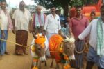 ಹೊಳಲ್ಕೆರೆ: ಮಳೆಗಾಗಿ ಕತ್ತೆಗಳ ಮೆರವಣಿಗೆ.!