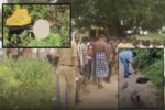 ಮಹಿಳೆಯನ್ನು ಕೊಲೆ ಮಾಡಿ ಶವವನ್ನು ತುಂಡು ತುಂಡಾಗಿ ಕತ್ತರಿಸಿದ ಪ್ರಕರಣ- ನಾಲ್ವರು ಆರೋಪಿಗಳು ವಶಕ್ಕೆ