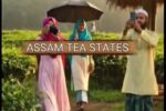 AI ಆಧಾರಿತ ಮುಸ್ಲಿಮರ ಅಮಾನವೀಯ ವೀಡಿಯೊವನ್ನು ಪೋಸ್ಟ್ ಮಾಡಿದ್ದಕ್ಕಾಗಿ ಅಸ್ಸಾಂ ಬಿಜೆಪಿಯ ವಿರುದ್ಧ ವ್ಯಾಪಕ ಆಕ್ರೋಶ
