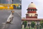 ಬೀದಿ ನಾಯಿಗಳ ಹಾವಳಿ ವಿಚಾರ: ವರದಿ ಸಲ್ಲಿಸದ ಕರ್ನಾಟಕ ಸೇರಿ ಇತರ ರಾಜ್ಯಗಳಿಗೆ ಸುಪ್ರೀಂ ತರಾಟೆ ಬೀದಿ ನಾಯಿಗಳ ಹಾವಳಿ ವಿಚಾರ: ವರದಿ ಸಲ್ಲಿಸದ ಕರ್ನಾಟಕ ಸೇರಿ ಇತರ ರಾಜ್ಯಗಳಿಗೆ ಸುಪ್ರೀಂ ತರಾಟೆ